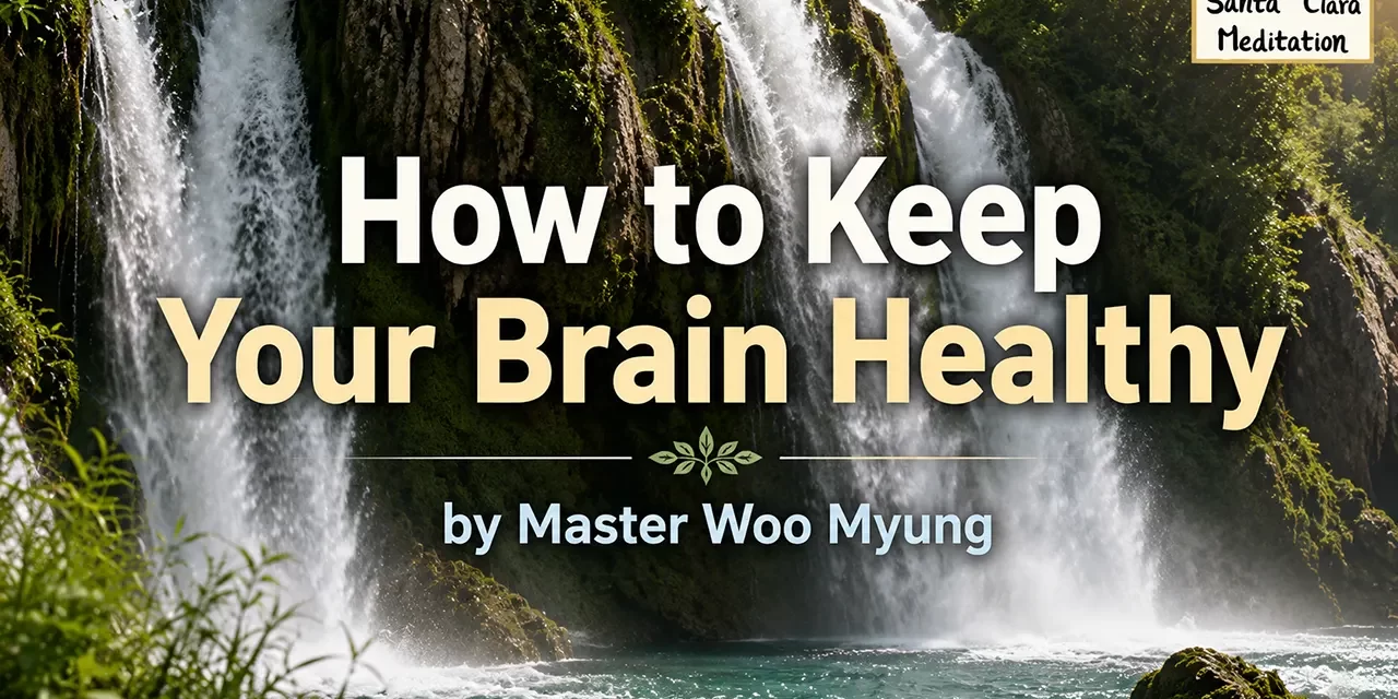 πΏ How to Keep Your Brain Healthy: Eliminate Stress & Improve Qi Circulation | Master Woo Myung | Santa Clara Meditation