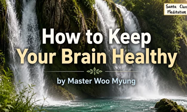 🌿 How to Keep Your Brain Healthy: Eliminate Stress & Improve Qi Circulation | Master Woo Myung | Santa Clara Meditation
