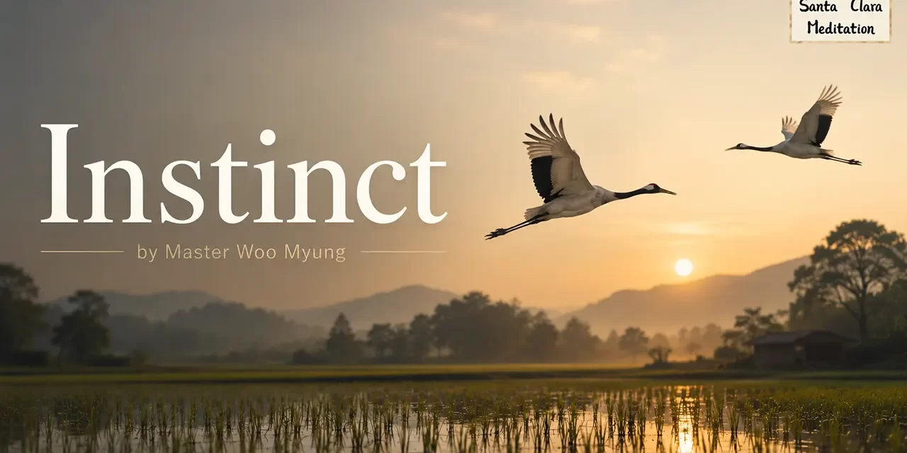 🕊️ Instinct: The Effortless Flow of Nature and the Universe | Master Woo Myung | Santa Clara Meditation
