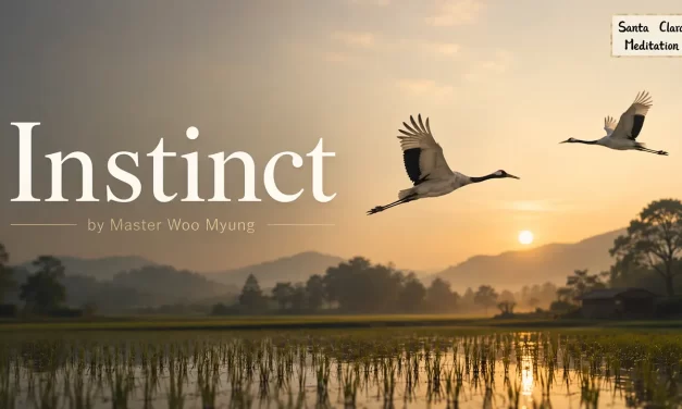🕊️ Instinct: The Effortless Flow of Nature and the Universe | Master Woo Myung | Santa Clara Meditation