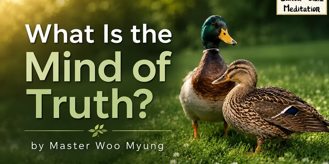 ☀️ What Is the Mind of Truth?: Discover the Holy Spirit Within | Master Woo Myung | Santa Clara Meditation